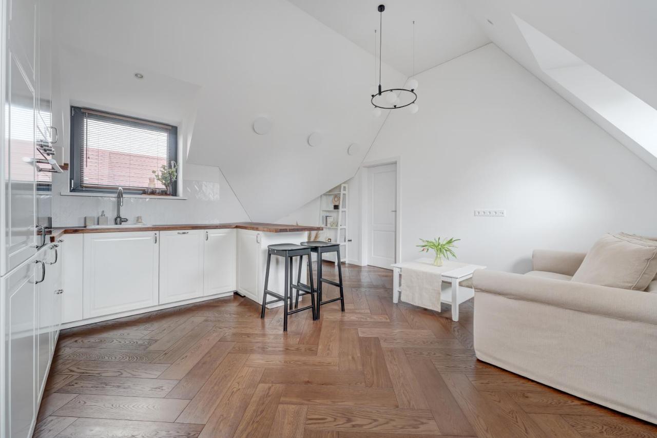 Cozy Apartment In The Center Of Wilno Zewnętrze zdjęcie